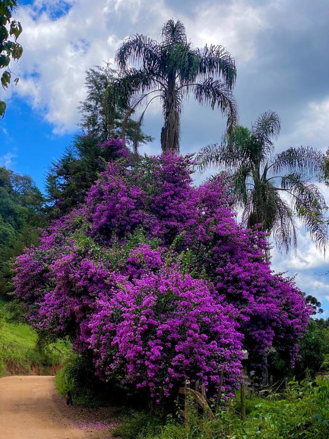 Canto Aguas Alagoa